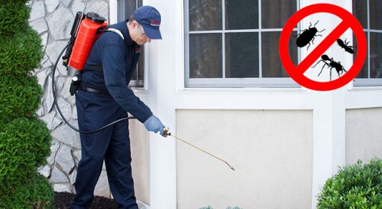 Kavaklıdere Kene İlaçlama böcek ilaçlama ve haşere kontrolü — ilaclama-tr.com